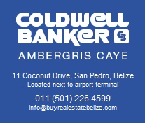 Belize Real Estate Company buyrealestatebelize.com